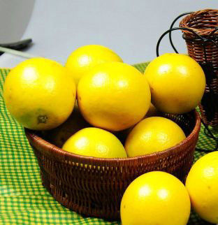 深圳柳丁网_柳丁网_柳丁网络电话