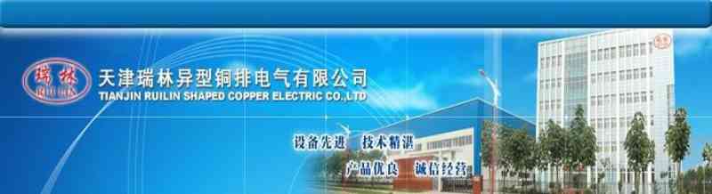 阈怎么读_阈电位的名词解释_天津瑞林异型铜排电气