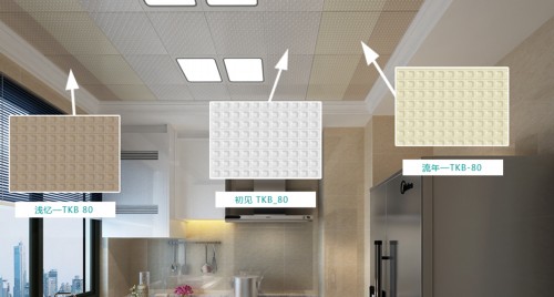 奥普集成吊顶材料批发_奥普集成吊顶怎么装_浙江奥普集成吊顶