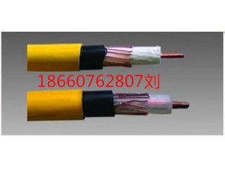 漏泄同轴电缆_漏泄同轴电缆受潮_漏泄同轴电缆储存