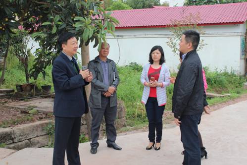 乐至县政府网_乐至县公众信息网_乐至县局