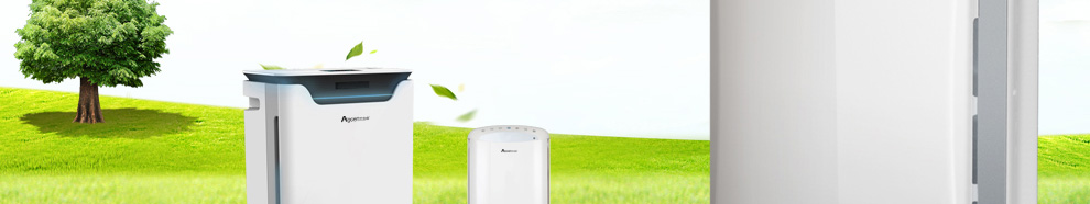 空气净化器十大排名_艾吉森_艾吉森和布鲁雅尔