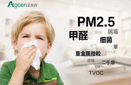 艾吉森_艾吉森和布鲁雅尔_空气净化器十大排名