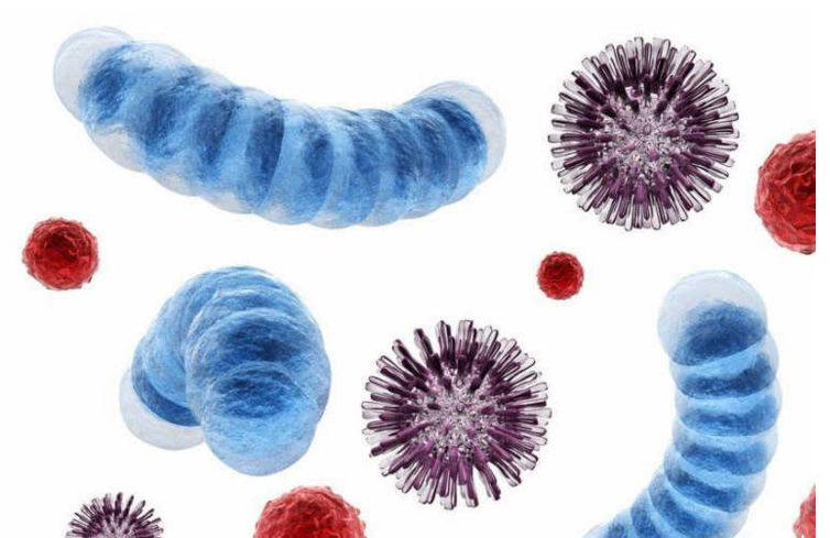 震荡波病毒_熊猫烧香_欢乐时光病毒