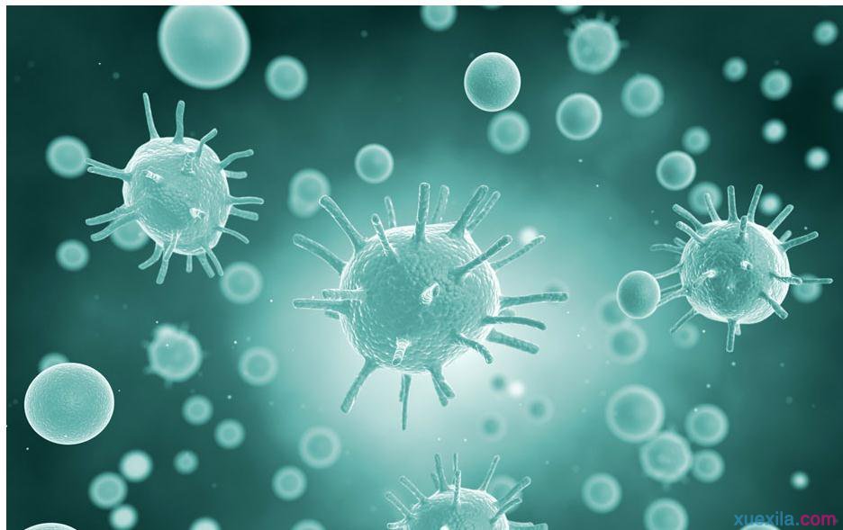 震荡波病毒_欢乐时光病毒_熊猫烧香