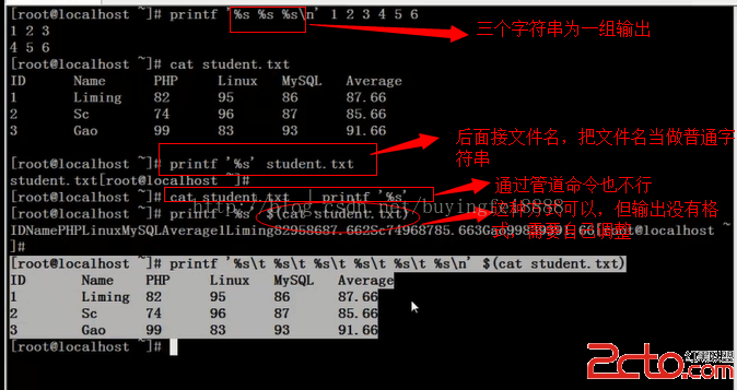 printf d x y_int a y a 10 y 0 do_printf%02x