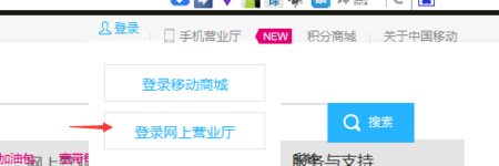 山东移动网上营业厅账单查询_移动营业厅总厅_中国移动2016年账单