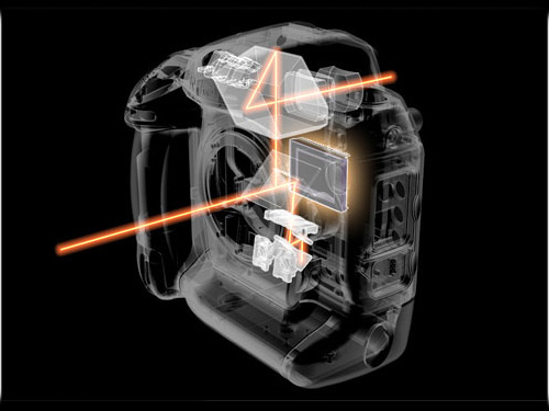 尼康24-120_nikon d2h_尼康d2h像素