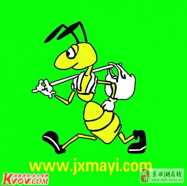 蚂蚁为什么要搬家_我发现为什么蚂蚁要搬家_观察蚂蚁发现了什么