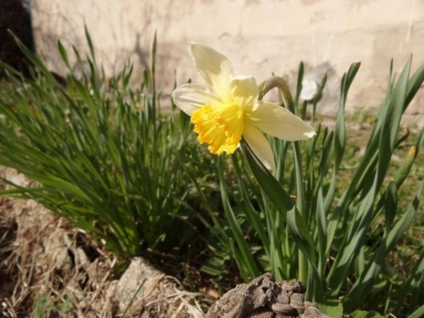 与S4 Zoom机身对比 三星K Zoom样张出炉 