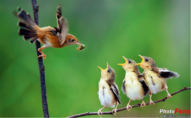 长焦镜头构造_数码相机长焦镜头_长焦镜