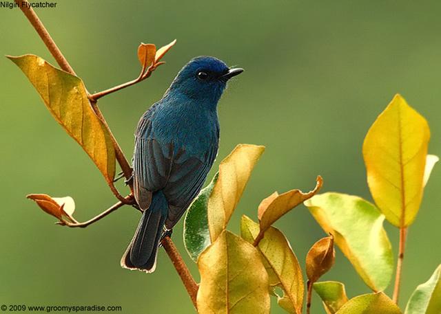 长焦镜_长焦镜头构造_数码相机长焦镜头