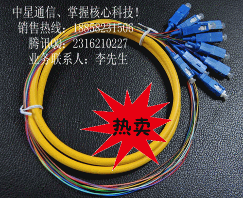 SC束状尾纤 12芯SC束状尾纤