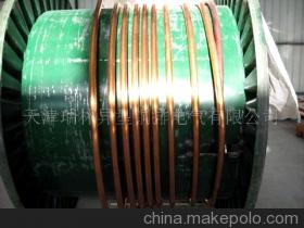 天津异形铜_天津瑞林异型铜排电气_天津摇号结果查询