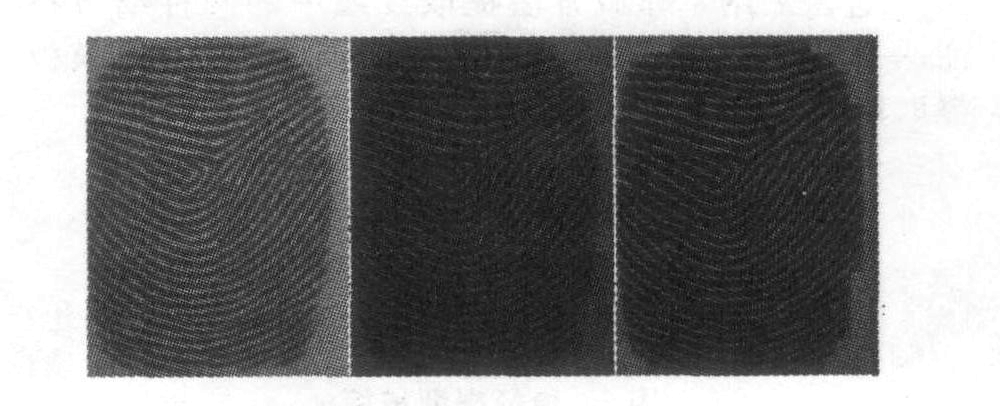 指纹图像比对算法_指纹比对算法_指纹识别算法