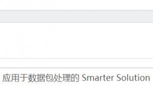 应用于数据包处理的 Smarter Solution