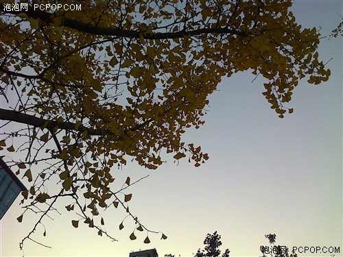 诺基亚asha 502_asha 210 待机_诺基亚asha 210