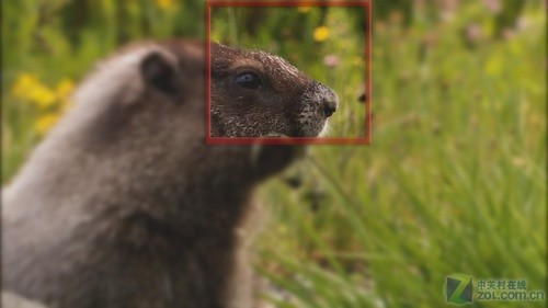 畅享岁末视觉盛宴 十款播放器横向测试 