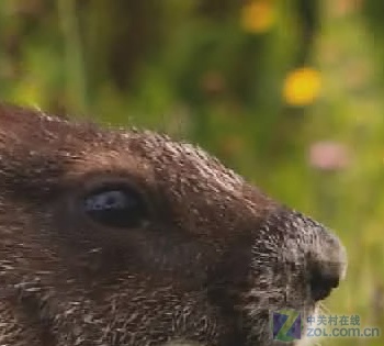 畅享岁末视觉盛宴 十款播放器横向测试 