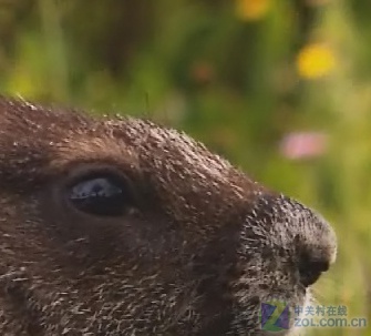 畅享岁末视觉盛宴 十款播放器横向测试 