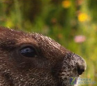 畅享岁末视觉盛宴 十款播放器横向测试 