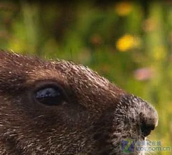 畅享岁末视觉盛宴 十款播放器横向测试 