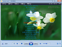 流媒体player是什么_moboplayer播放器_超级兔子快乐影音
