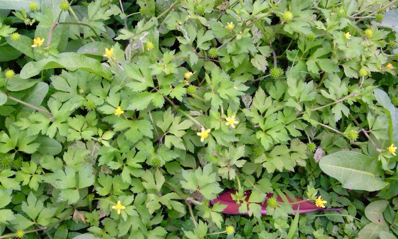 联想s760联通_联想扬天s760电脑_联想s760哪些可以删