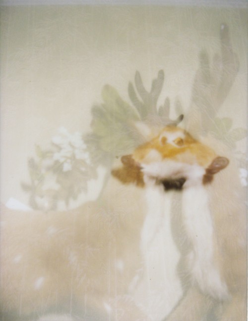三项革命性升级富士Instaxmini90评测(3)