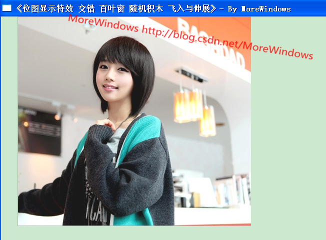 bitblt sdk_bitblt_c# bitblt