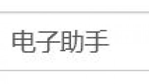电子助手