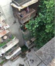 乐山人事考试网_乐至县人事考试网_四川人事考试网吧