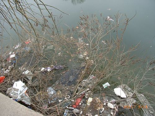 地球污染_关于河水污染的资料_河水污染