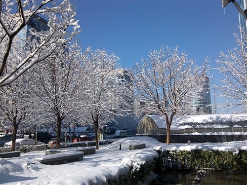 百元四核手机 电信版酷派5890深度评测 