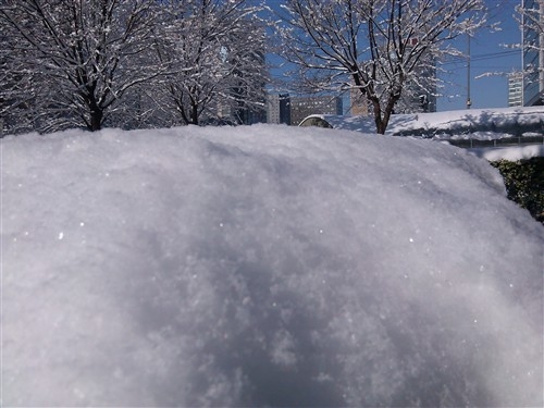 百元四核手机 电信版酷派5890深度评测 