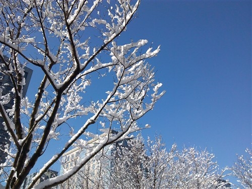 三星8262手机_如何破酷派手机密码_酷派5890手机