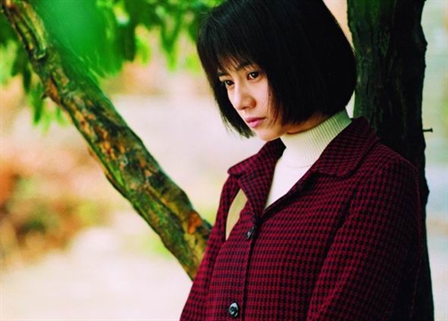 芈月传剧情分集介绍_电影手机剧情介绍_青红 剧情介绍