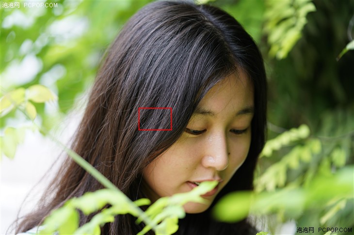 索尼FE 70-200mm GM评测 