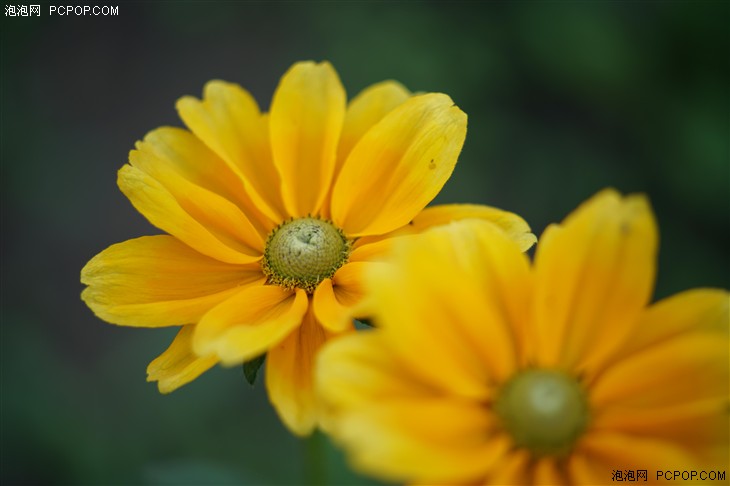 索尼FE 70-200mm GM评测 