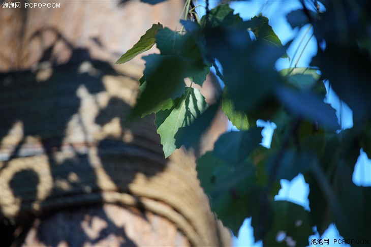 索尼FE 70-200mm GM评测 