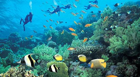 塞班蓝洞浮潜好吗_塞班浮潜三宝多钱_塞班浮潜要买浮潜衣吗