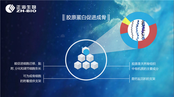 海奥膜技术_海奥负离子空气净化器_海奥