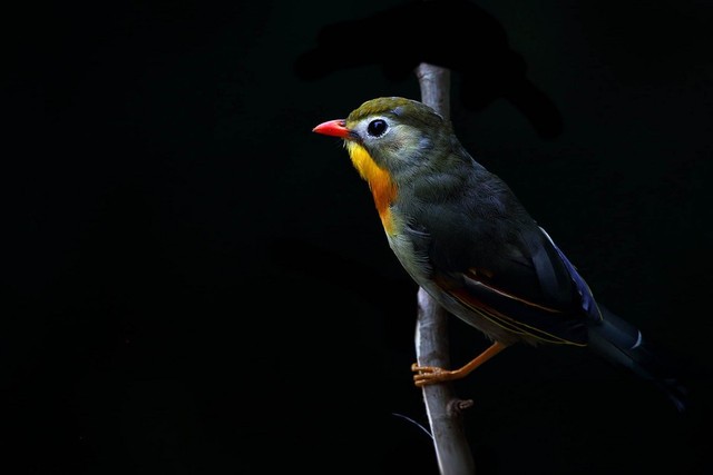 万能网卡驱动 win7_手机驱动精灵_qdjl