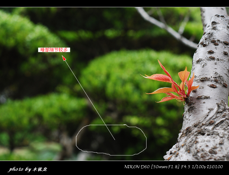 DSC_nk0020.jpg