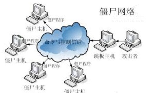 僵尸网络_p2p网络_僵尸网络组织