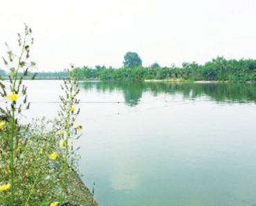 宝狮湖 钓鱼_长寿湖钓鱼_宝狮湖 钓