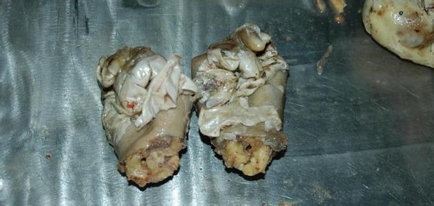 凤凰网关_凤凰网总编被约谈_凤凰网关停