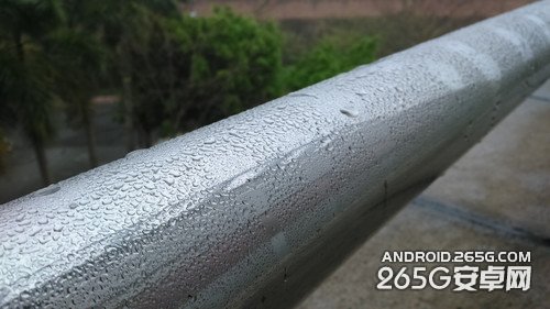 样张