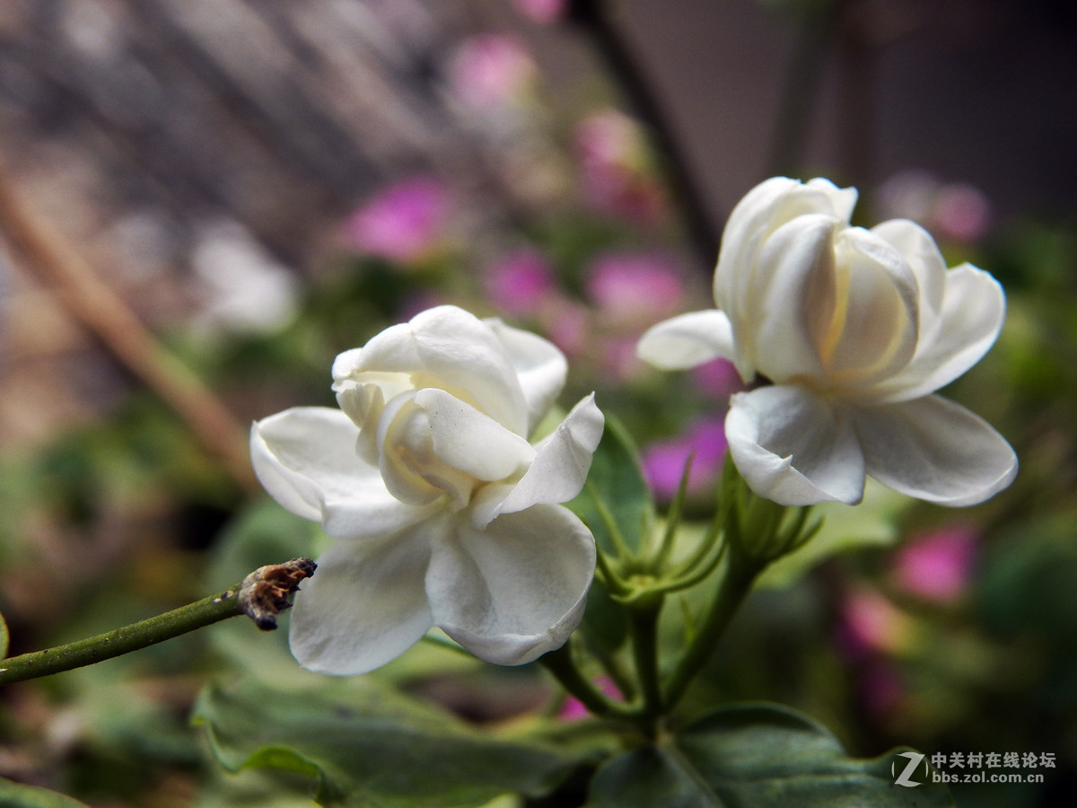 尼康l820吧_z990_xt910双wipe