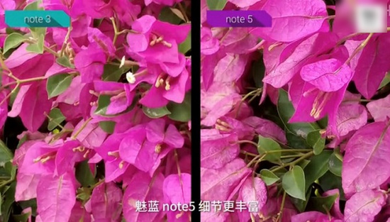 魅蓝note5与note3哪个好 魅蓝note5和note3对比评测